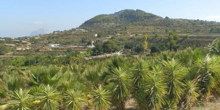 0 Bedroom finca in benissa