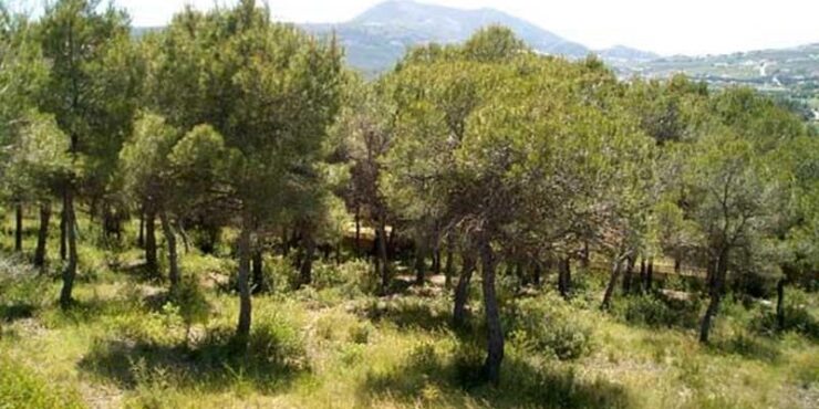 0 Bedroom land in javea