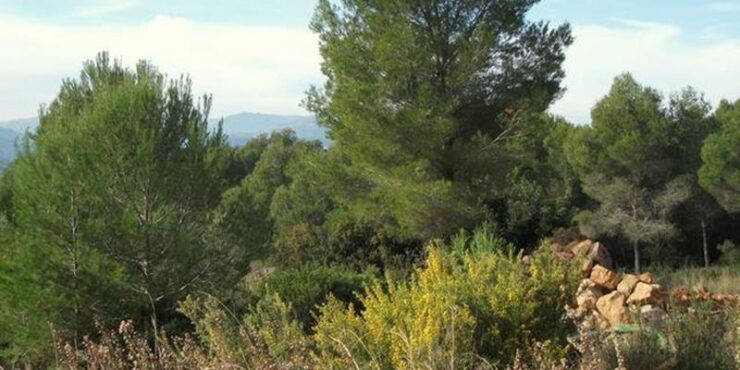 0 Bedroom land in javea