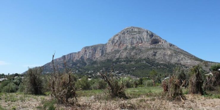 0 Bedroom land in javea